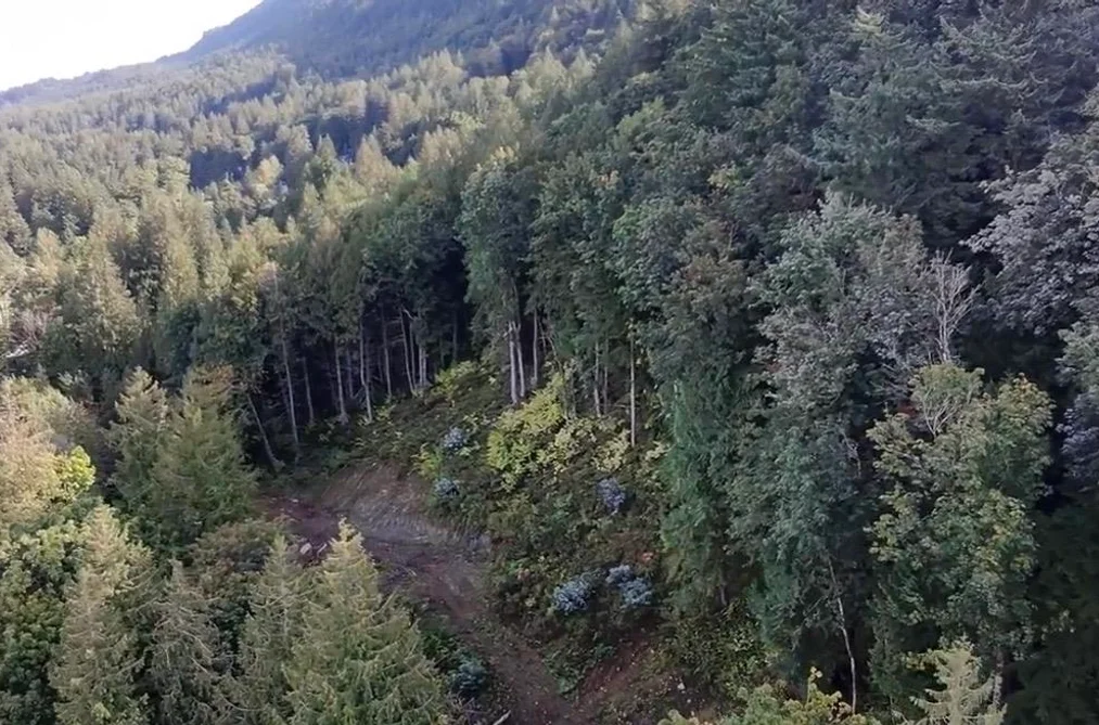41768 BOWMAN ROAD, Yarrow BC V2R 5G8, Yarrow BC — Land for Sale - Photo 4