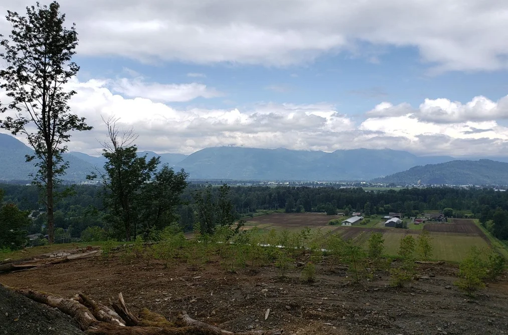 4270 TEMPUS DRIVE, Yarrow BC V2R 6G1, Yarrow BC — Land for Sale - Photo 7