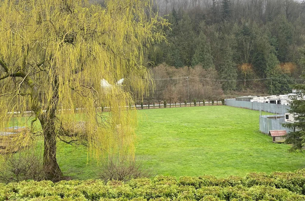 43462 LUMSDEN ROAD, Yarrow BC V2R 4R4, Yarrow BC — Residential for Sale - Photo 5