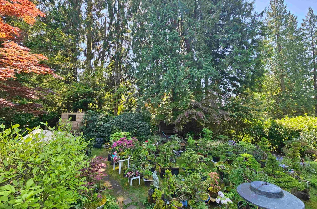 435 E OSBORNE ROAD, North Vancouver BC V7N 1M4, North Vancouver BC — Residential for Sale - Photo 4