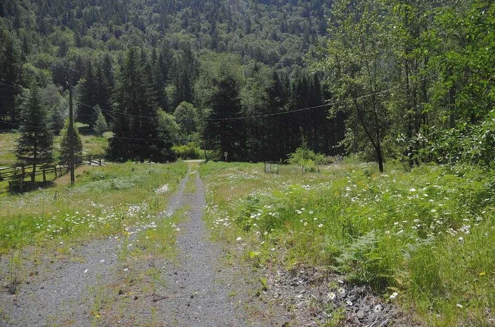 Property for sale at 43751 Frost Road Columbia Valley British Columbia - MLS: R3104900