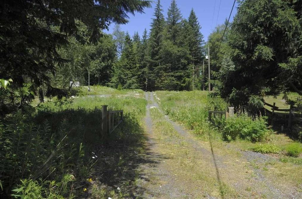 43751 FROST ROAD, Columbia Valley BC V2R 4X9, Columbia Valley BC — Land for Sale - Photo 2