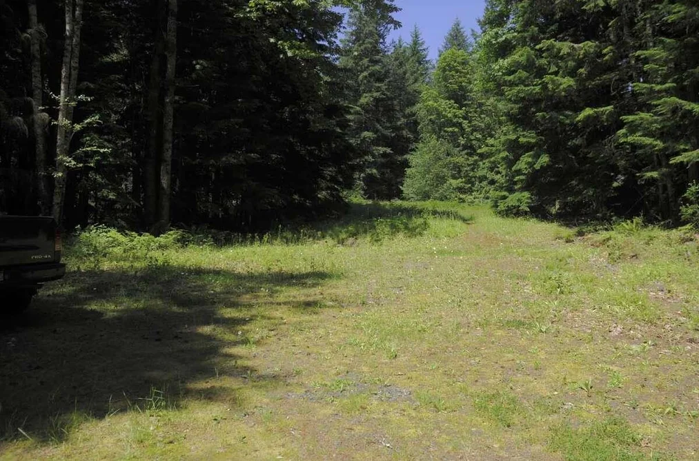 43751 FROST ROAD, Columbia Valley BC V2R 4X9, Columbia Valley BC — Land for Sale - Photo 3
