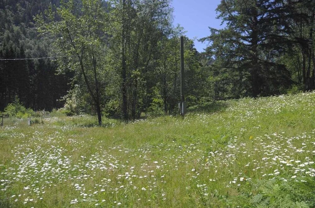 43751 FROST ROAD, Columbia Valley BC V2R 4X9, Columbia Valley BC — Land for Sale - Photo 5