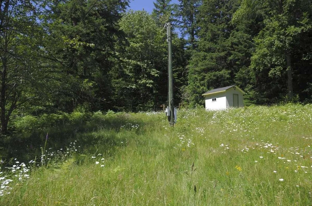 43751 FROST ROAD, Columbia Valley BC V2R 4X9, Columbia Valley BC — Land for Sale - Photo 6