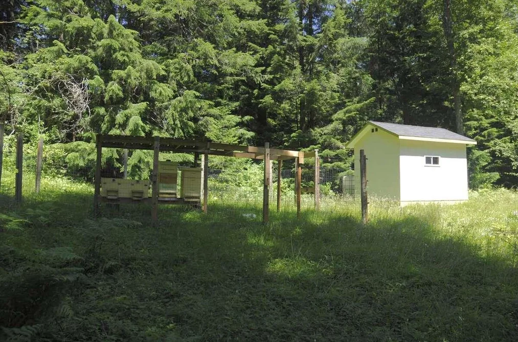43751 FROST ROAD, Columbia Valley BC V2R 4X9, Columbia Valley BC — Land for Sale - Photo 7