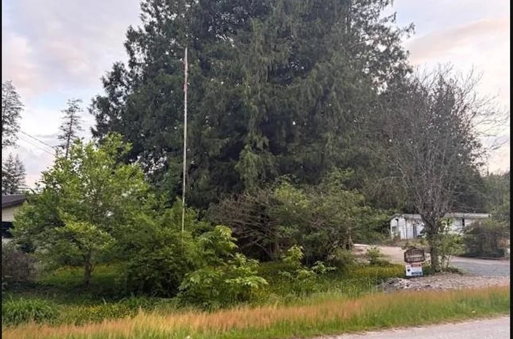 43778 WATKINS ROAD, Mission BC V0M 1N0, Mission BC — Land for Sale - Photo 7