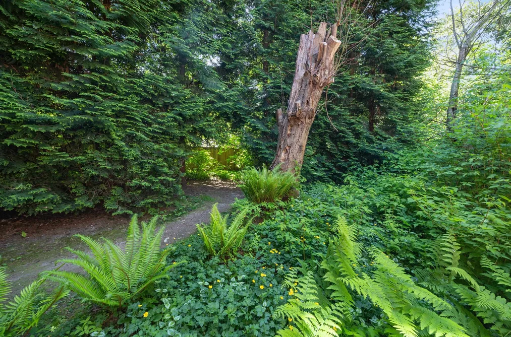 4384 GARDEN GROVE DRIVE, Burnaby BC V5G 4G6, Burnaby BC — Residential for Sale — Photo 36 of 40