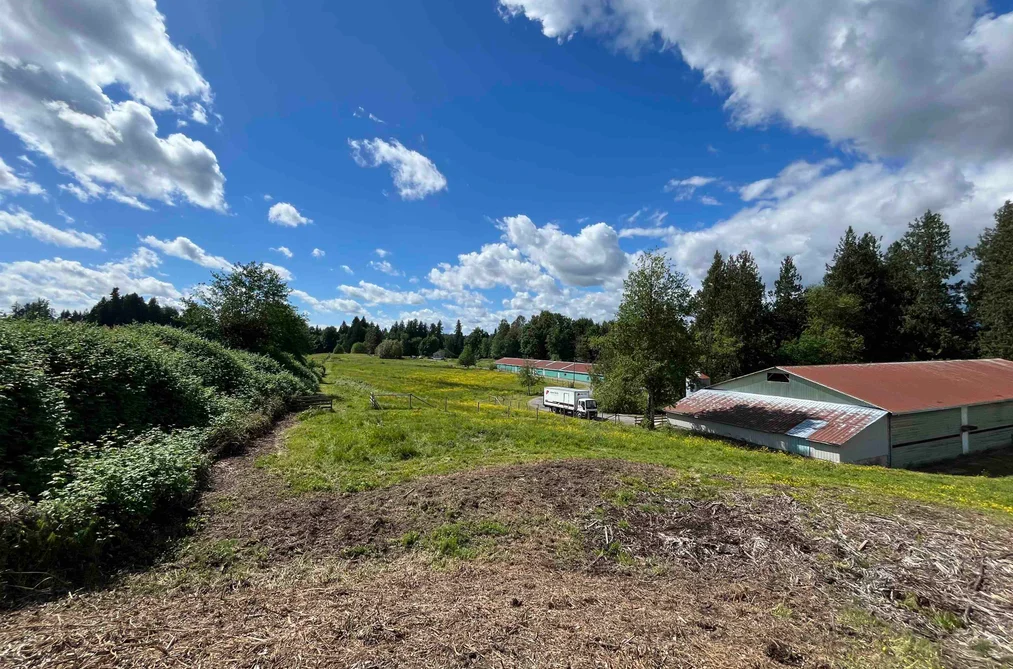 4393 TOWNLINE ROAD, Abbotsford BC V4X 1Y7, Abbotsford BC — Residential for Sale - Photo 4