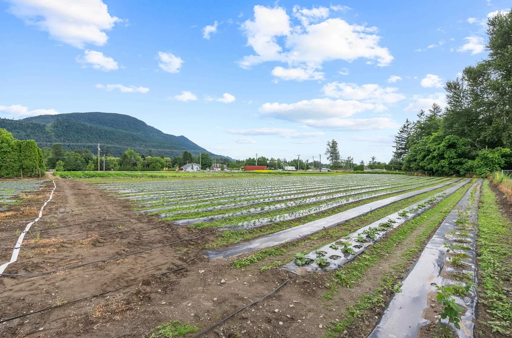 44081 KEITH WILSON ROAD, Chilliwack BC V2R 4B5, Chilliwack BC — Residential for Sale — Photo 34 of 37