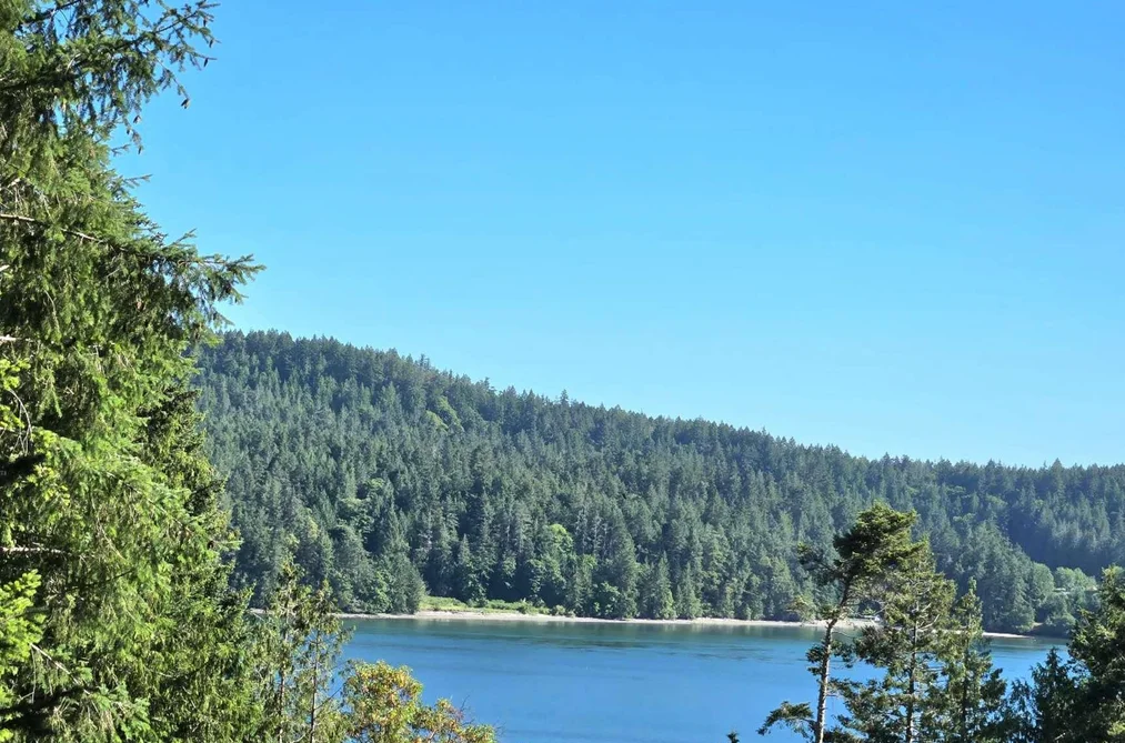 House for sale at 442 Mariners Way Mayne Island British Columbia - MLS: R3136836