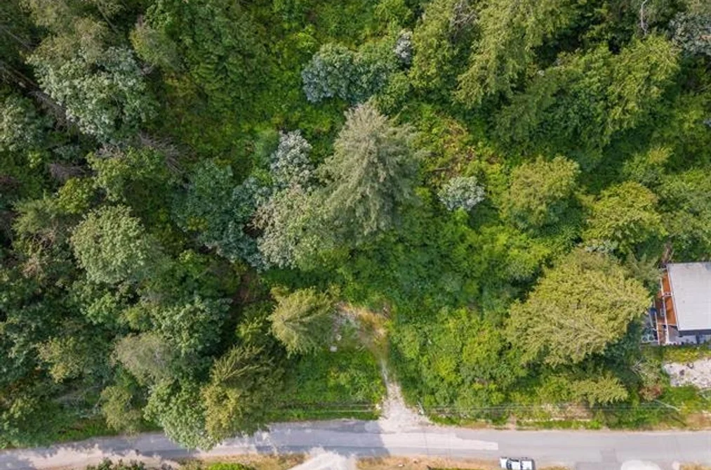44296 BAYVIEW ROAD, Mission BC V0M 1N0, Mission BC — Land for Sale - Photo 3