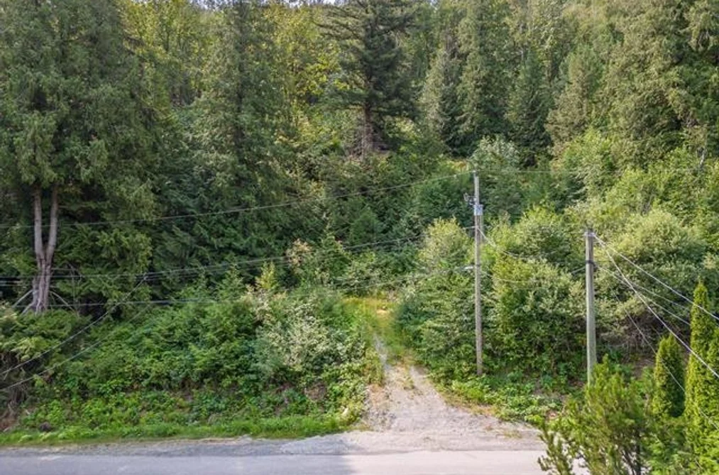 44296 BAYVIEW ROAD, Mission BC V0M 1N0, Mission BC — Land for Sale - Photo 4