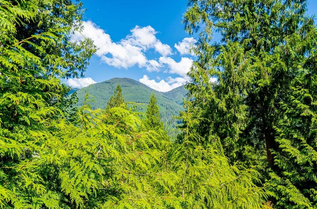 44301 BAYVIEW ROAD, Mission BC V0M 1N0, Mission BC — Residential for Sale — Photo 18 of 37
