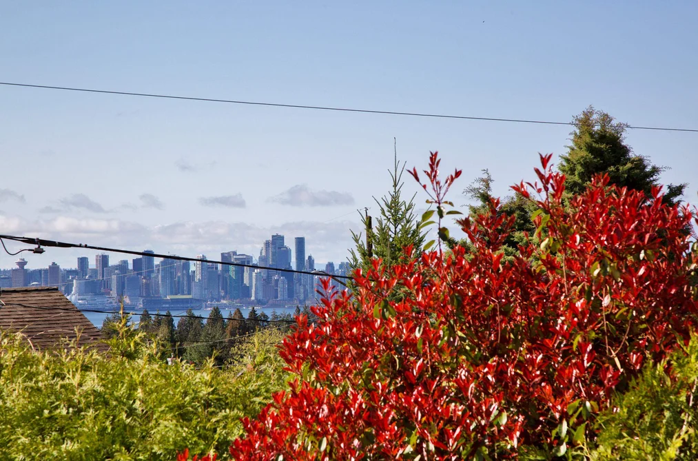 House for sale at 445 W Queens Road North Vancouver British Columbia - MLS: R3081882
