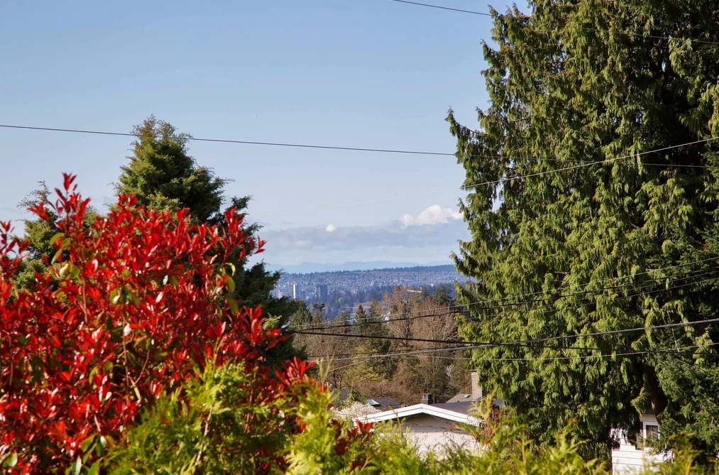 445 W QUEENS ROAD, North Vancouver BC V7N 2K8, North Vancouver BC — Residential for Sale - Photo 5