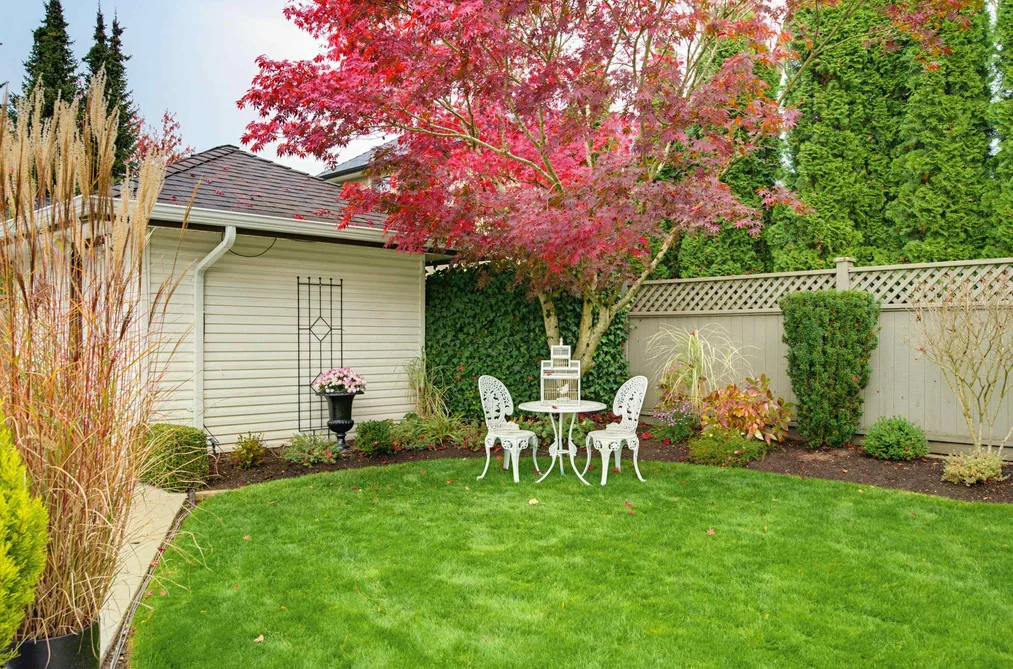 4478 217B Street, Langley, BC - MLS: R3179579 - Photo 36 4478 217B Street, Langley, BC - MLS: R3179579 - Photo 36