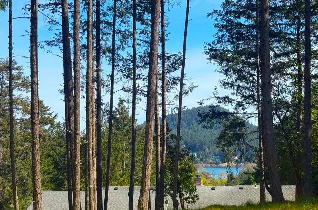 448 BURRILL ROAD, Galiano Island BC V0N 1P0, Galiano Island BC — Land for Sale - Photo 3