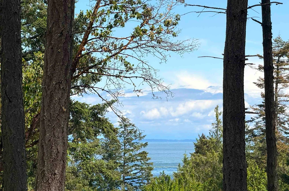 448 BURRILL ROAD, Galiano Island BC V0N 1P0, Galiano Island BC — Land for Sale - Photo 4