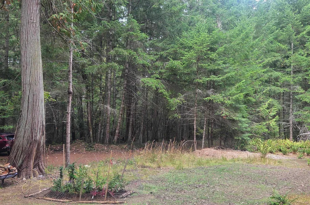 Property for sale at 448 Fernhill Road Mayne Island British Columbia - MLS: R3161138