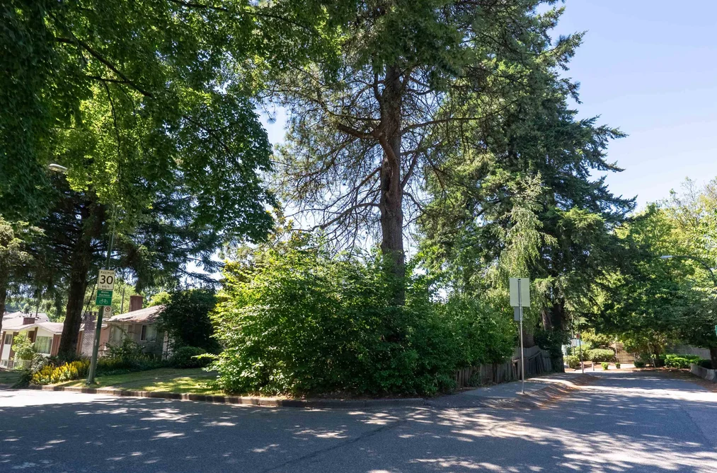 4507 TODD STREET, Vancouver, BC — Residential for Sale — Photo 27 of 32