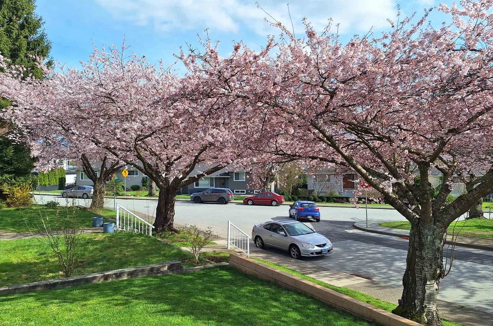 4545 WILLIAM STREET, Burnaby BC V5C 3K5, Burnaby BC — Residential for Sale - Photo 2