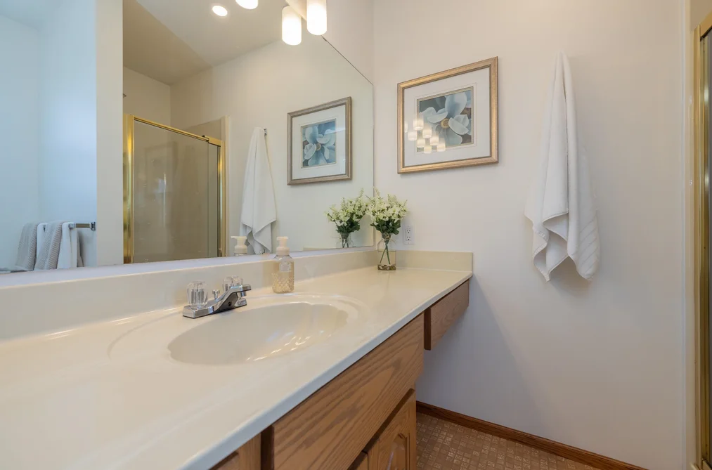 455 ALOUETTE DRIVE, Coquitlam BC V3C 4Y7, Coquitlam BC — Residential for Sale — Photo 20 of 40