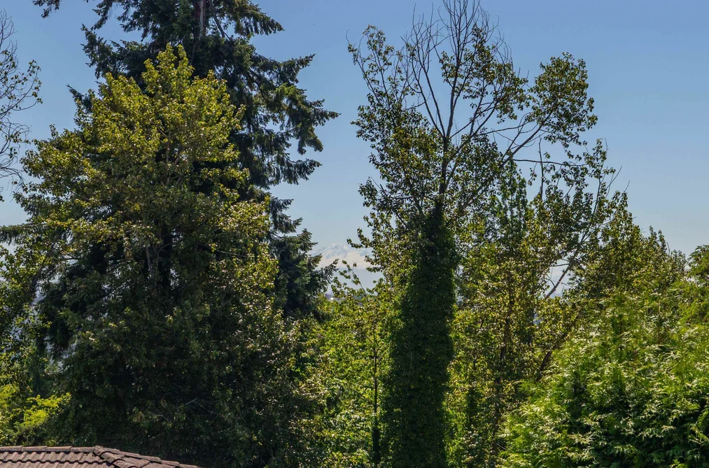 455 ALOUETTE DRIVE, Coquitlam BC V3C 4Y7, Coquitlam BC — Residential for Sale — Photo 34 of 40