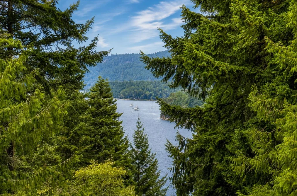 456 Steward Drive, Galiano Island, BC - MLS: R3164462 - Photo 12 456 Steward Drive, Galiano Island, BC - MLS: R3164462 - Photo 12