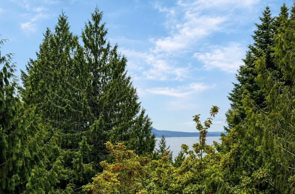 456 Steward Drive, Galiano Island, BC - MLS: R3164462 - Photo 24 456 Steward Drive, Galiano Island, BC - MLS: R3164462 - Photo 24