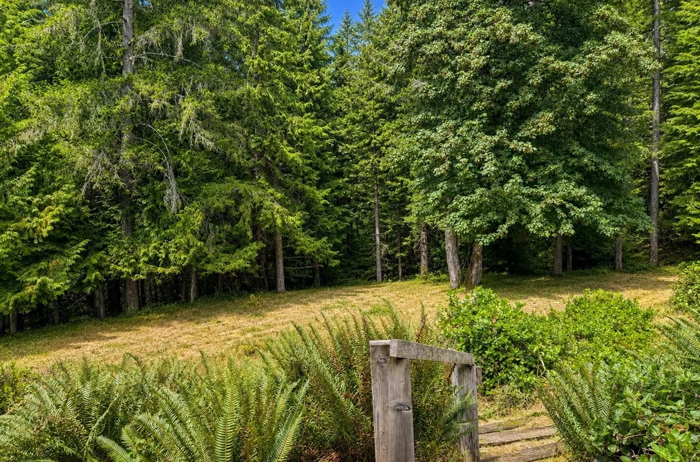 456 Steward Drive, Galiano Island, BC - MLS: R3164462 - Photo 25 456 Steward Drive, Galiano Island, BC - MLS: R3164462 - Photo 25