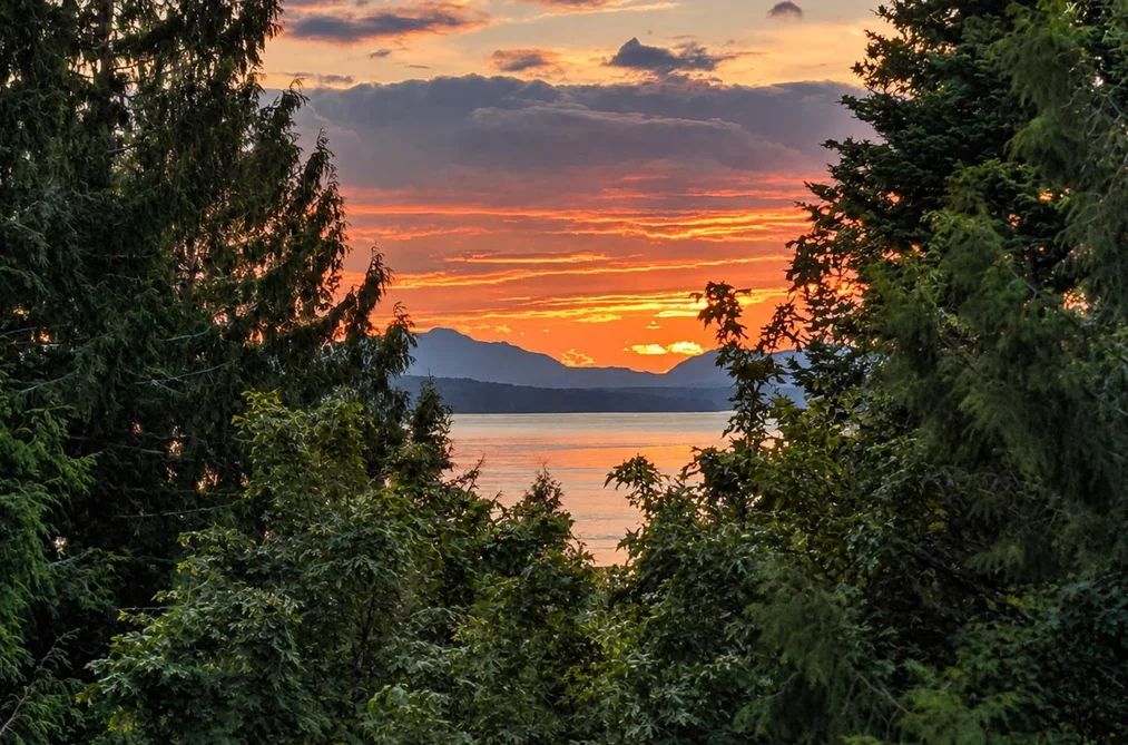 456 Steward Drive, Galiano Island, BC - MLS: R3164462 - Photo 40 456 Steward Drive, Galiano Island, BC - MLS: R3164462 - Photo 40