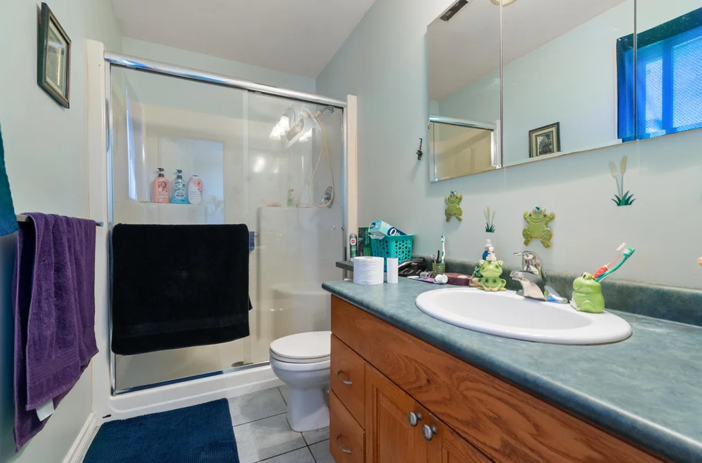 45675 Marshall Avenue, Chilliwack, BC - MLS: R3164569 - Photo 29 45675 Marshall Avenue, Chilliwack, BC - MLS: R3164569 - Photo 29
