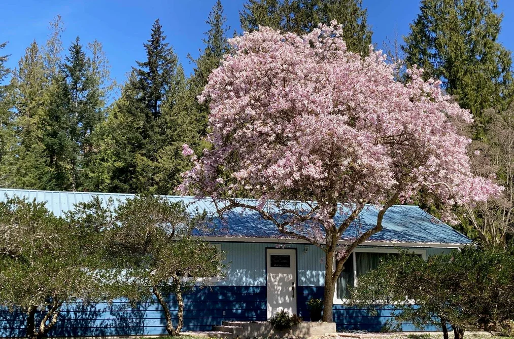 House for sale at 4569 Francis Peninsula Road Madeira Park British Columbia - MLS: R3093753