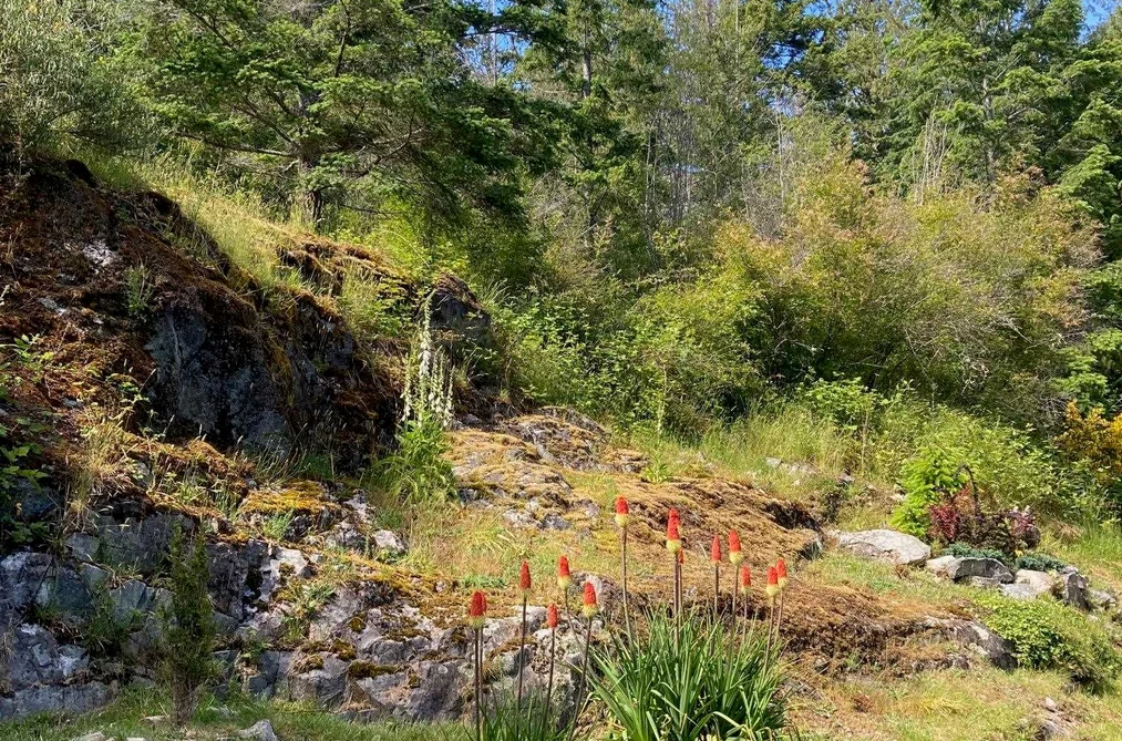 4569 FRANCIS PENINSULA ROAD, Madeira Park BC V0N 2H1, Madeira Park BC — Residential for Sale - Photo 3