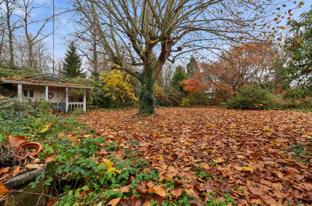 45883 BERKELEY AVENUE, Chilliwack BC V2P 3N1, Chilliwack BC — Residential for Sale - Photo 6