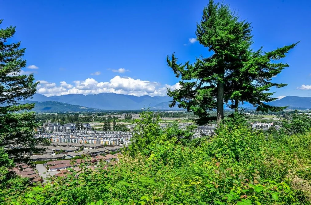 4598 TESKEY ROAD, Chilliwack BC V2R 0C6, Chilliwack BC — Residential for Sale — Photo 37 of 40