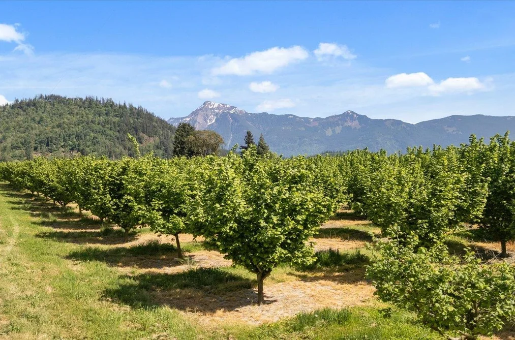 4602 HUNT ROAD, Agassiz BC V0M 1A3, Agassiz BC — Land for Sale - Photo 4