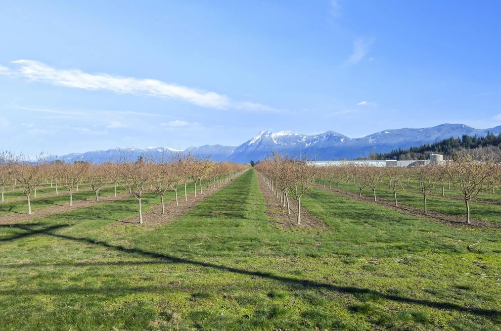 46464 BRICE ROAD, Chilliwack BC V2P 3V5, Chilliwack BC — Residential for Sale - Photo 4