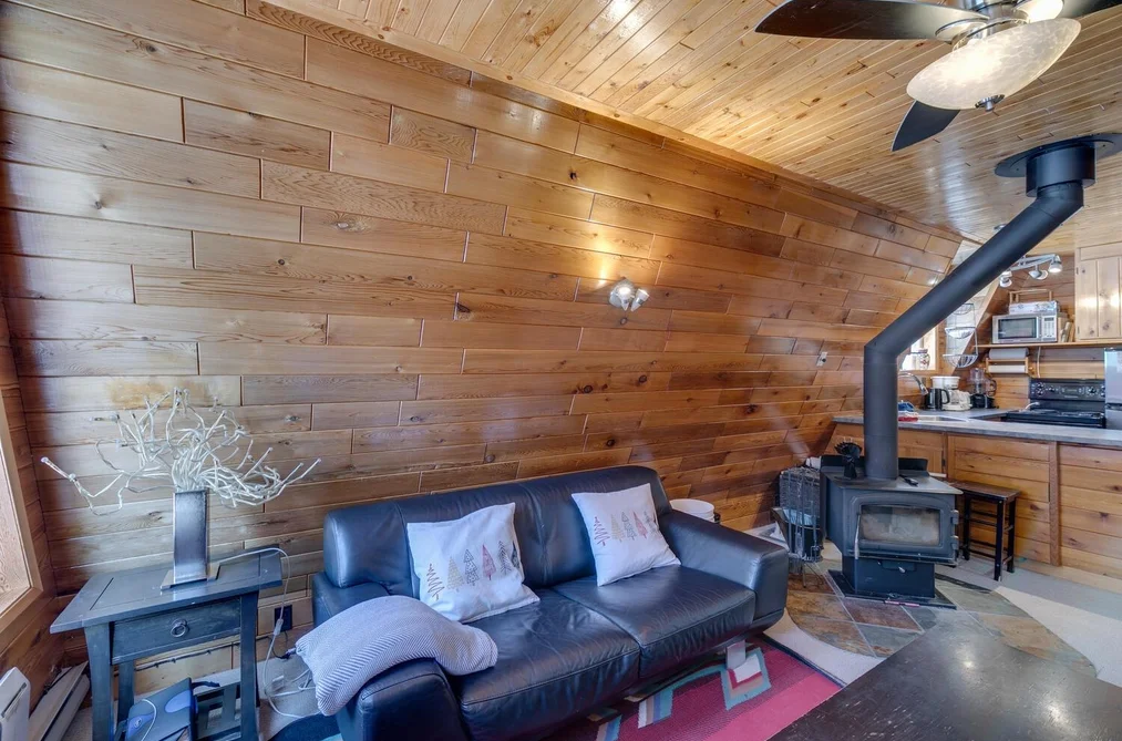 46890 SAKWI CREEK ROAD, Mission BC V0M 1A1, Mission BC — Residential for Sale - Photo 7