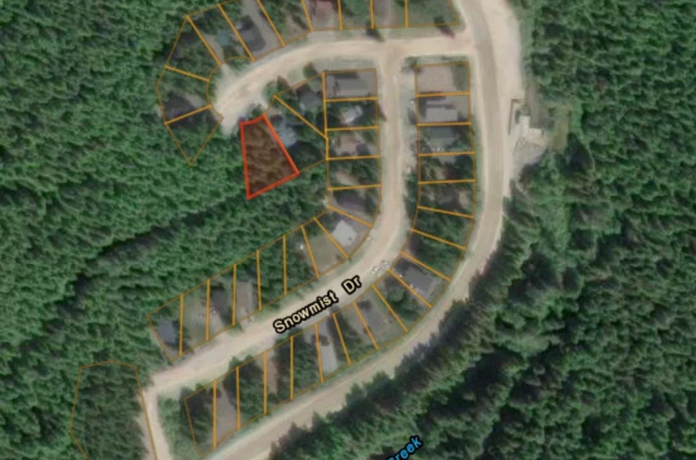 47017 SNOWMIST PLACE, Mission BC V0M 1A1, Mission BC — Land for Sale - Photo 3