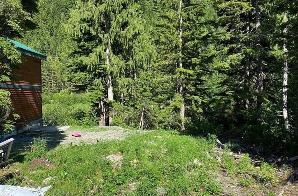 47065 SNOWMIST DRIVE, Mission BC V0M 1A1, Mission BC — Land for Sale - Photo 7