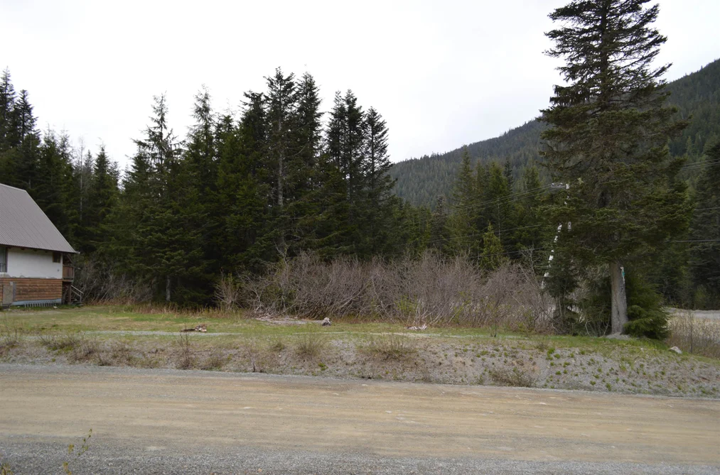 Property for sale at 47080 Snowmist Drive Mission British Columbia - MLS: R3074077