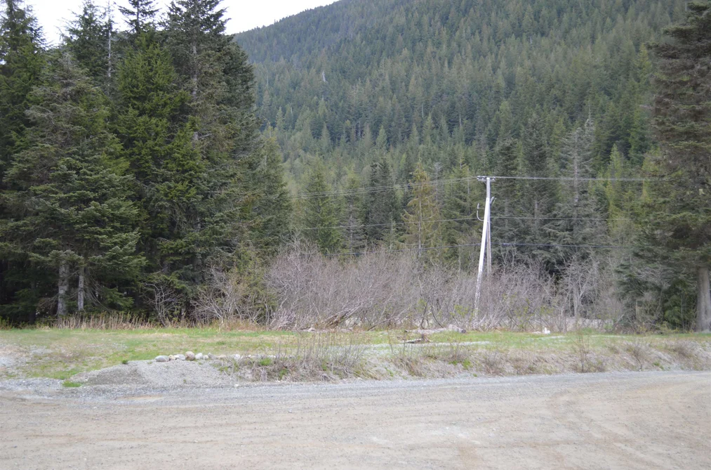 47080 SNOWMIST DRIVE, Mission BC V0M 1A1, Mission BC — Land for Sale - Photo 2