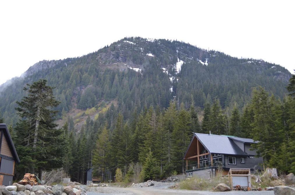 47080 SNOWMIST DRIVE, Mission BC V0M 1A1, Mission BC — Land for Sale - Photo 3