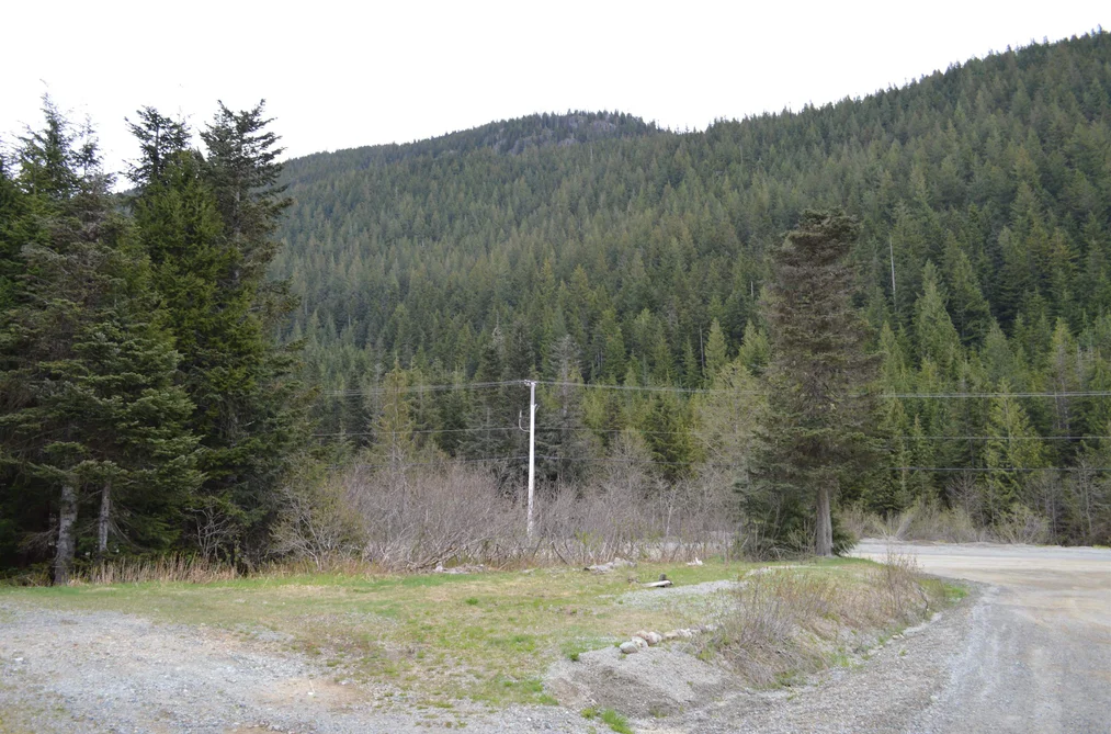 47080 SNOWMIST DRIVE, Mission BC V0M 1A1, Mission BC — Land for Sale - Photo 4