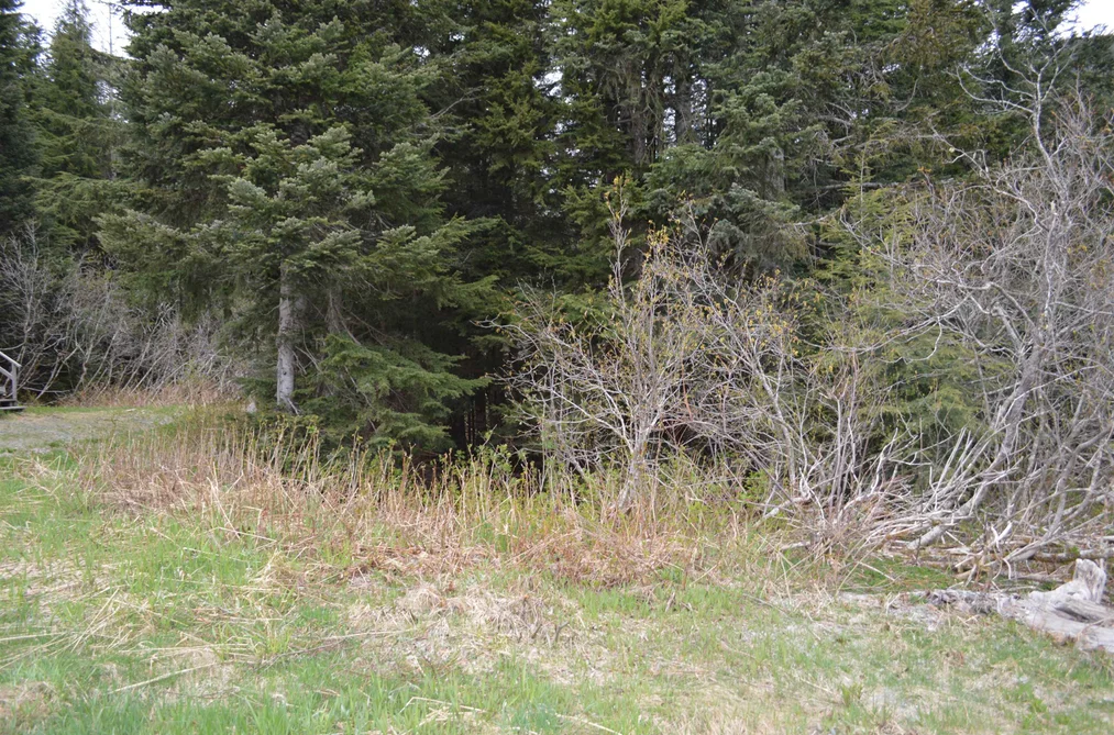 47080 SNOWMIST DRIVE, Mission BC V0M 1A1, Mission BC — Land for Sale - Photo 5
