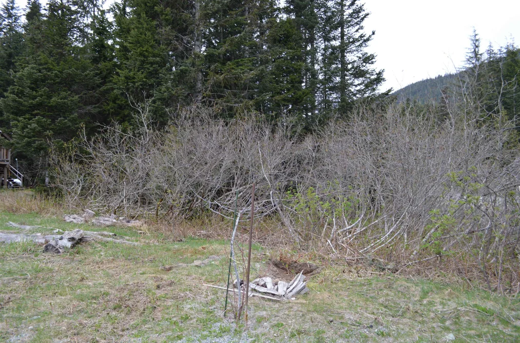 47080 SNOWMIST DRIVE, Mission BC V0M 1A1, Mission BC — Land for Sale - Photo 6