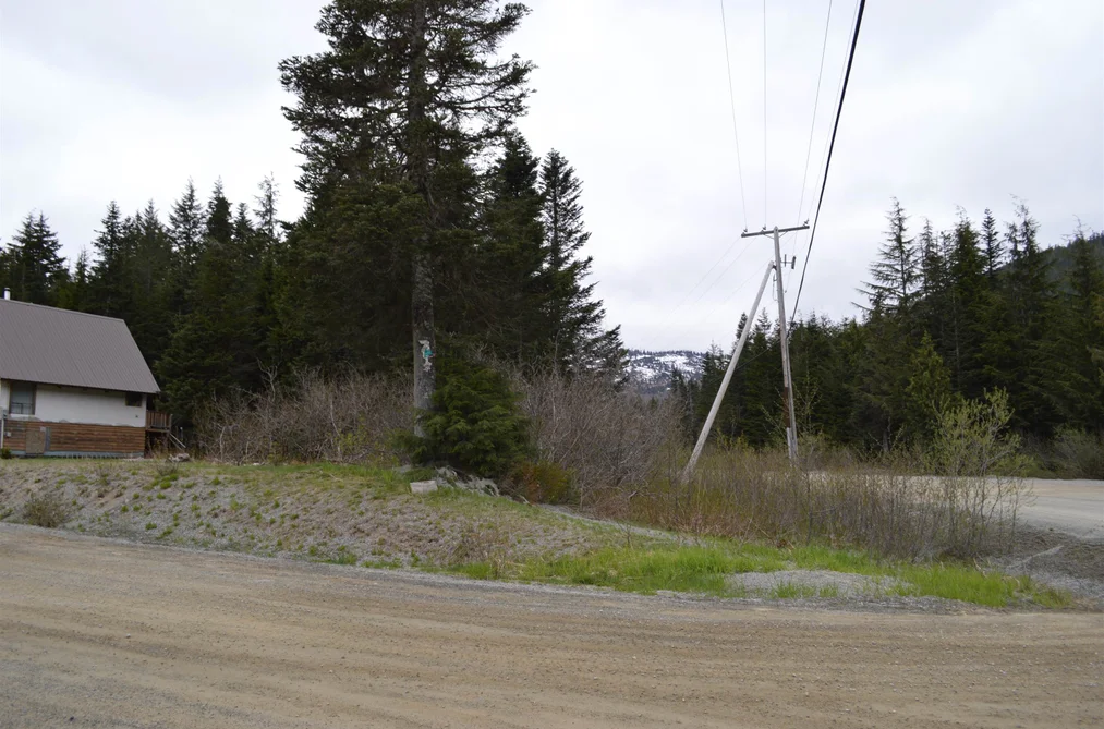 47080 SNOWMIST DRIVE, Mission BC V0M 1A1, Mission BC — Land for Sale - Photo 7