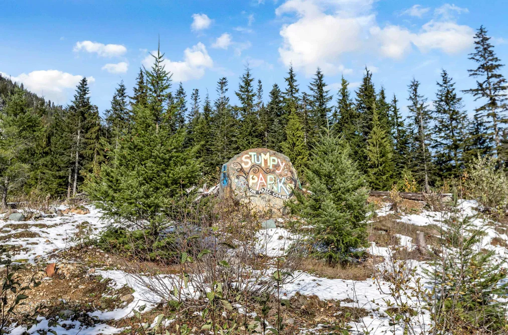 47095 SNOWMIST DRIVE, Mission BC V0M 1A1, Mission BC — Land for Sale - Photo 4